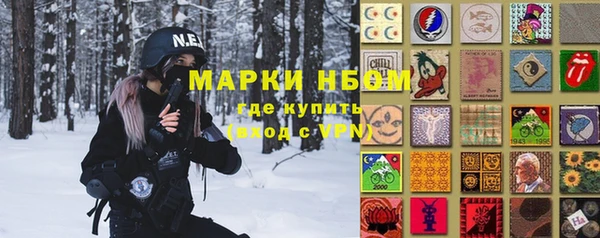 шишки Михайловск