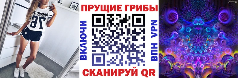 Галлюциногенные грибы Magic Shrooms  где купить наркоту  omg вход  Салават 